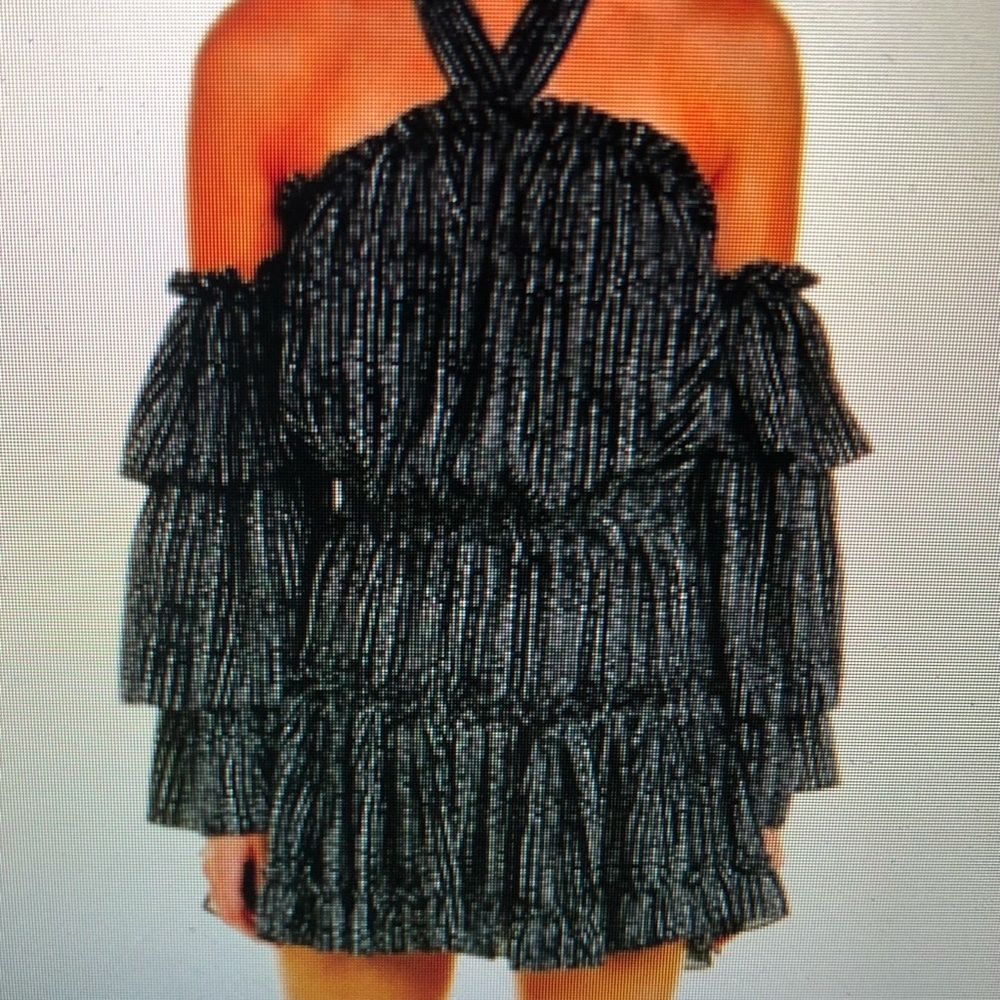 MISA Los Angeles Olivya Ruffle Dress - small